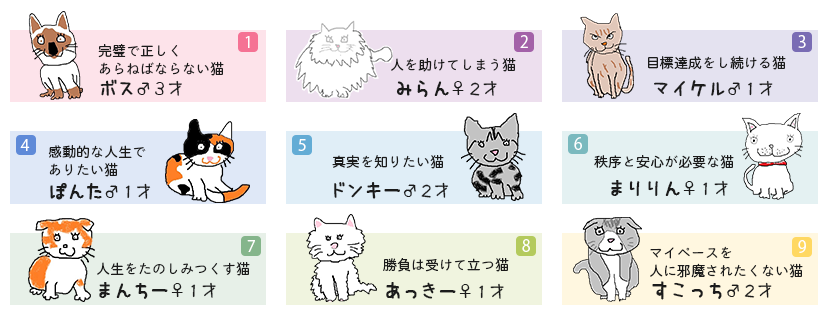 エニアセールス